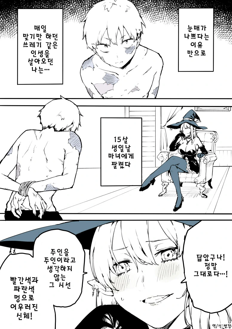 마녀에게 팔려가 고양이가 되는 만화