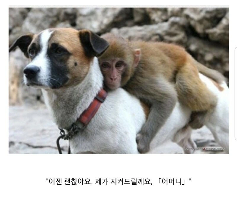 소년 만화 - 2차 창작 - 이미지 4