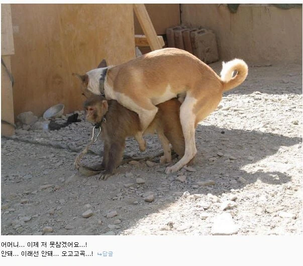 소년 만화 - 2차 창작 - 이미지 5