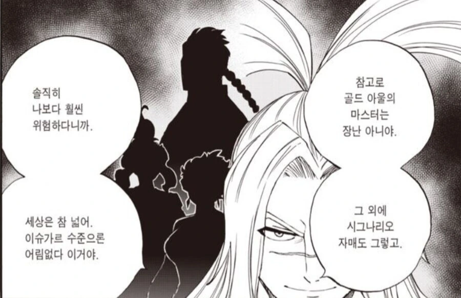 페어리테일을 보는 올바른 방법 - 이미지 2