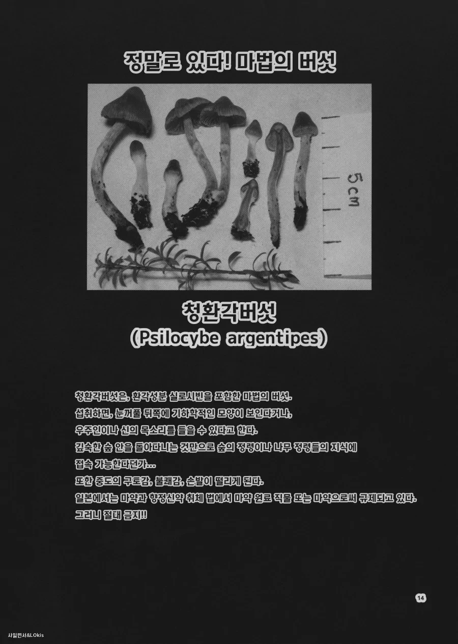 동방) 이상한 나라의 앨리스.manga - 이미지 13