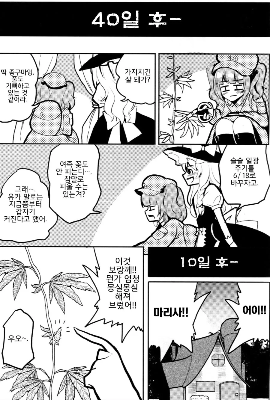 동방] 기분 좋아지는 풀 기르는 만화 - 이미지 12