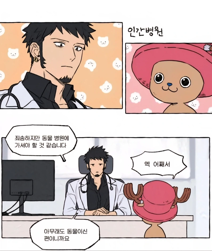 쵸파가 의사가 된 이유