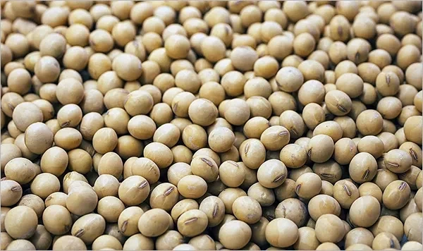 한식의 가장 근본은...