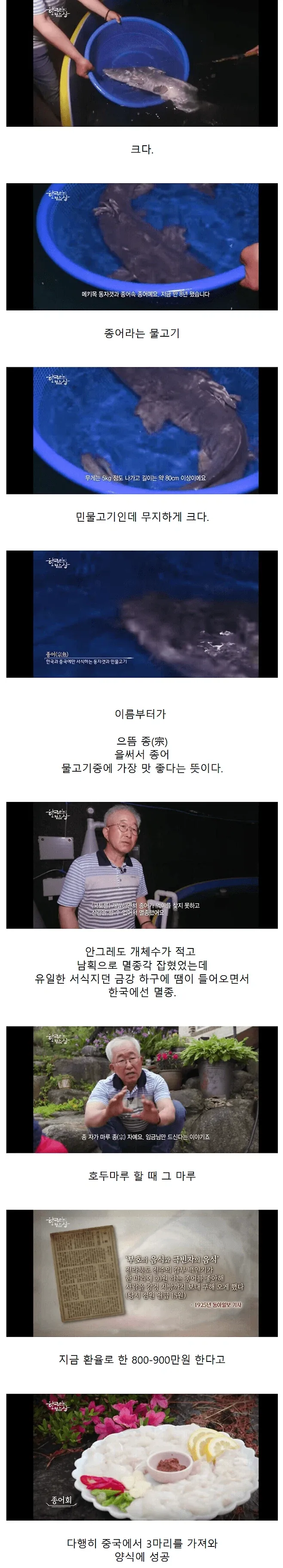 너무 맛있어서 한국에서 멸종한 물고기