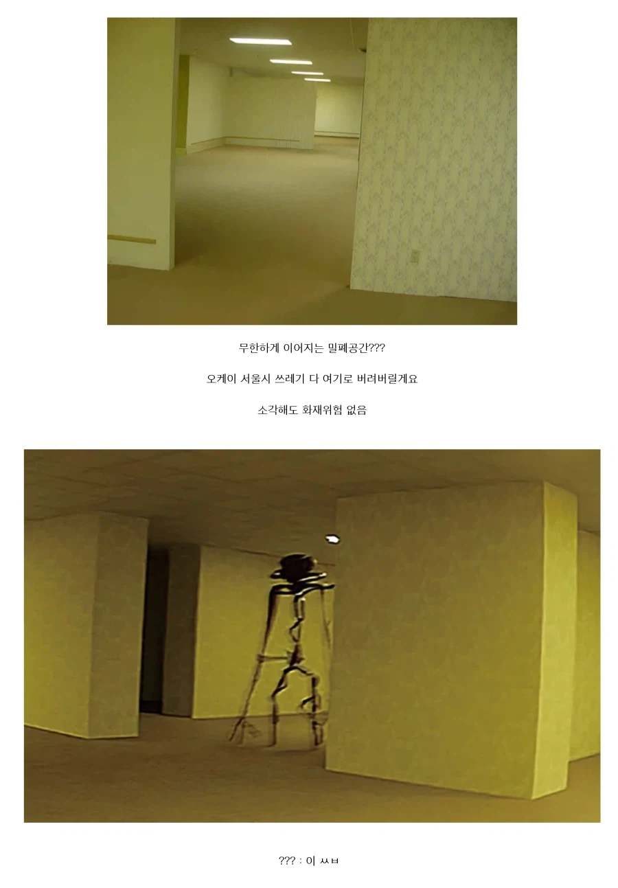 공포의 코리안 백룸 甲.jpg