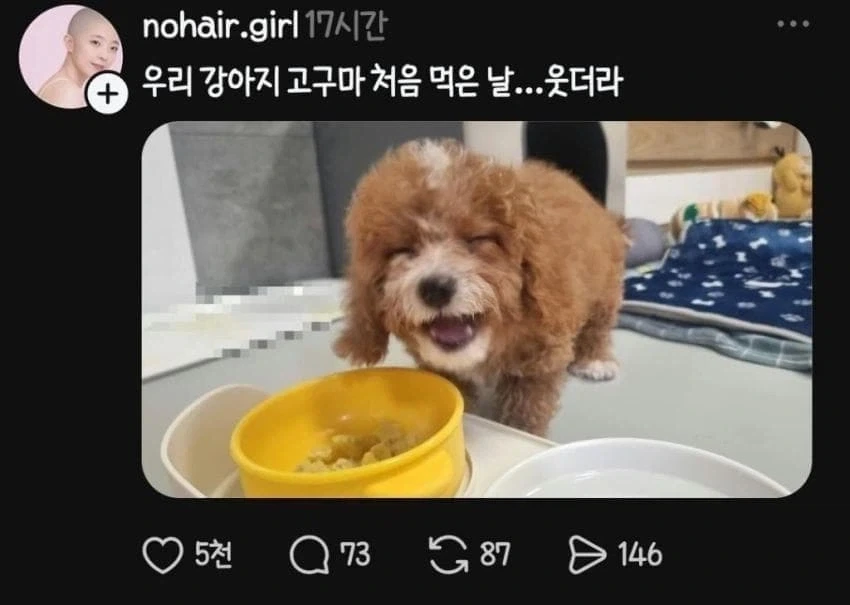 고구마를 처음 먹어본 강아지.jpg