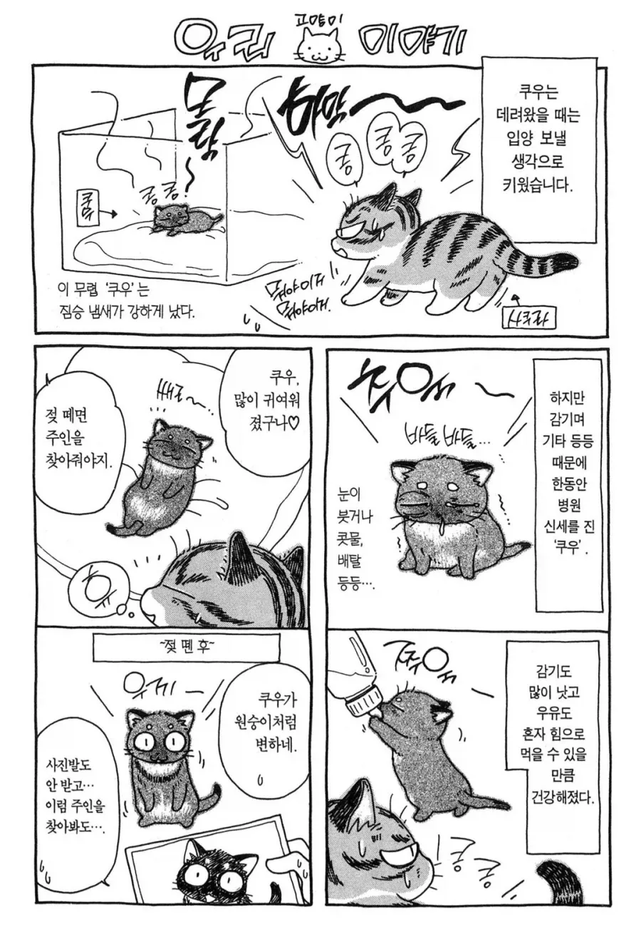 간택당한 집사