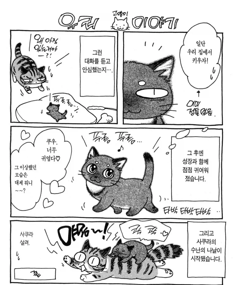 간택당한 집사 - 이미지 2