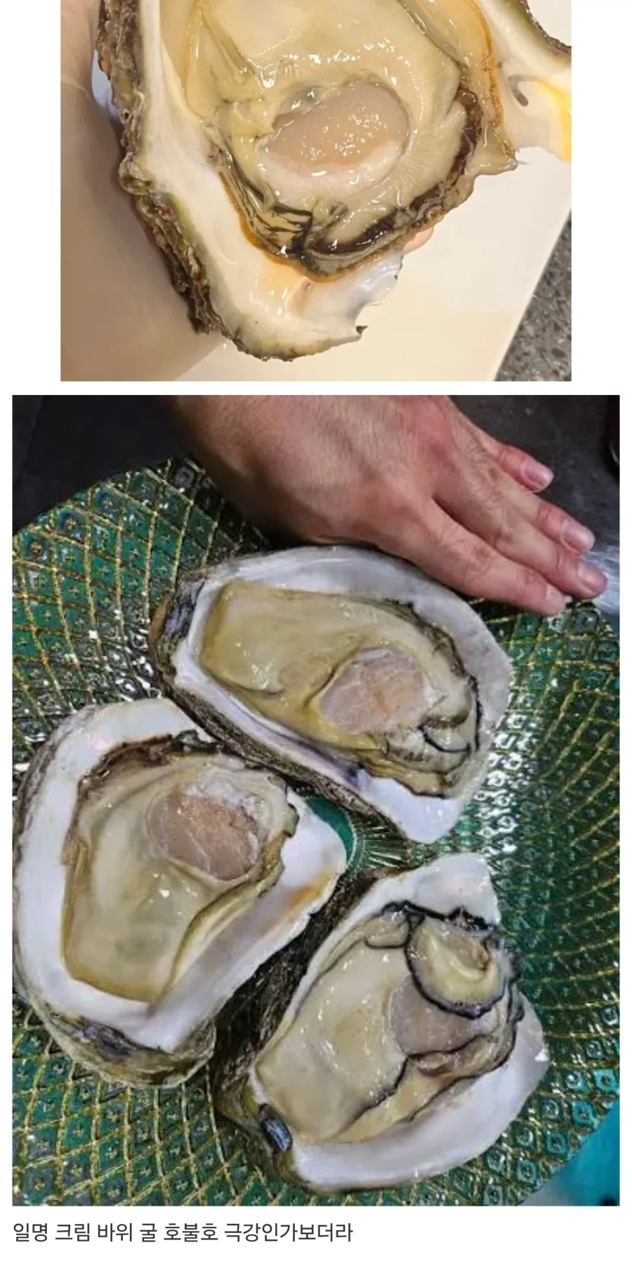 굴 좋아하는 사람도 이건 안좋아한다는 생물