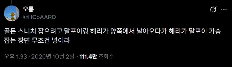 해리)말포이 TS 쿼디치 장면은 굉장하군