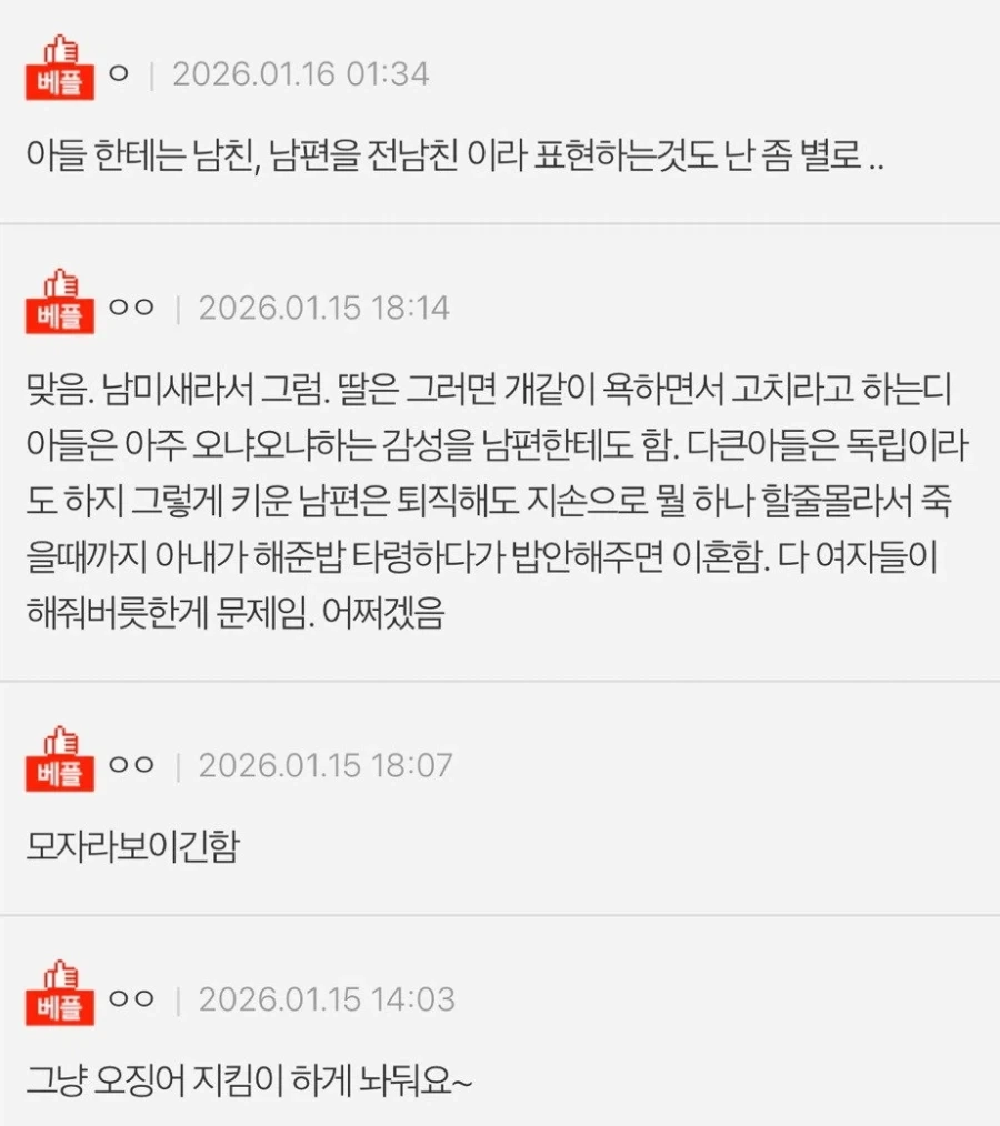 남편을 큰아들이라는 여자 좀 모자란 듯 - 이미지 4