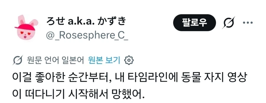말 자지 후기 - 이미지 2