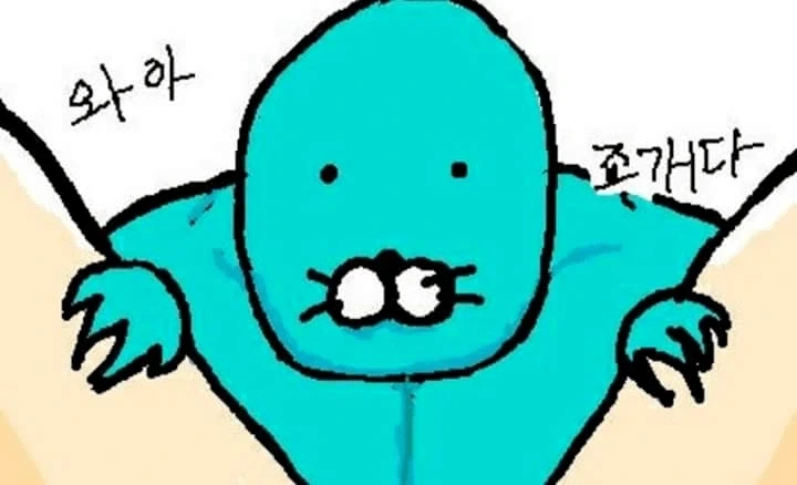 보노보노: 와! 조개다!!
