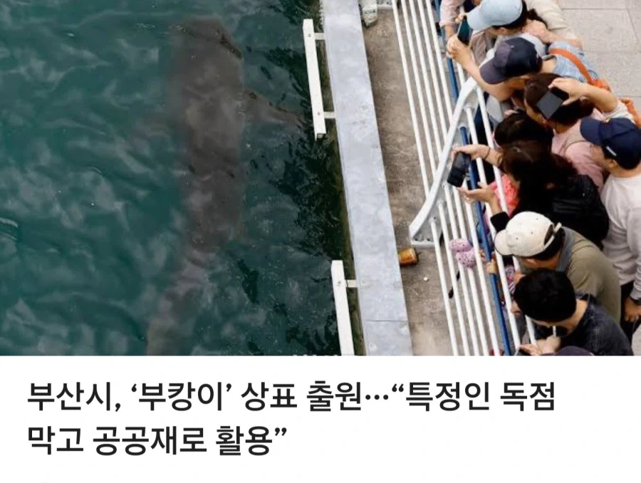부산시가 부캉이 상표출원 등록함 ㅋㅋㅋㅋㅋㅋㅋ