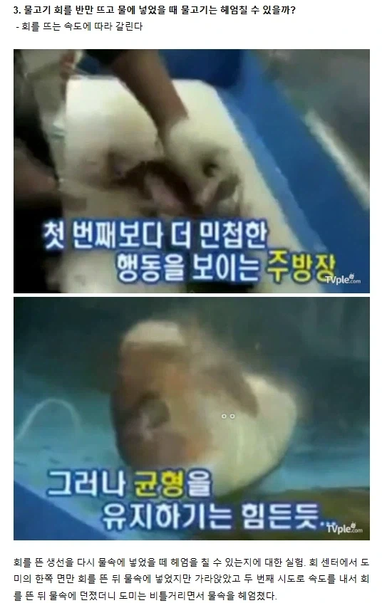 아니 그걸 왜 실험해요 ㄷㄷ