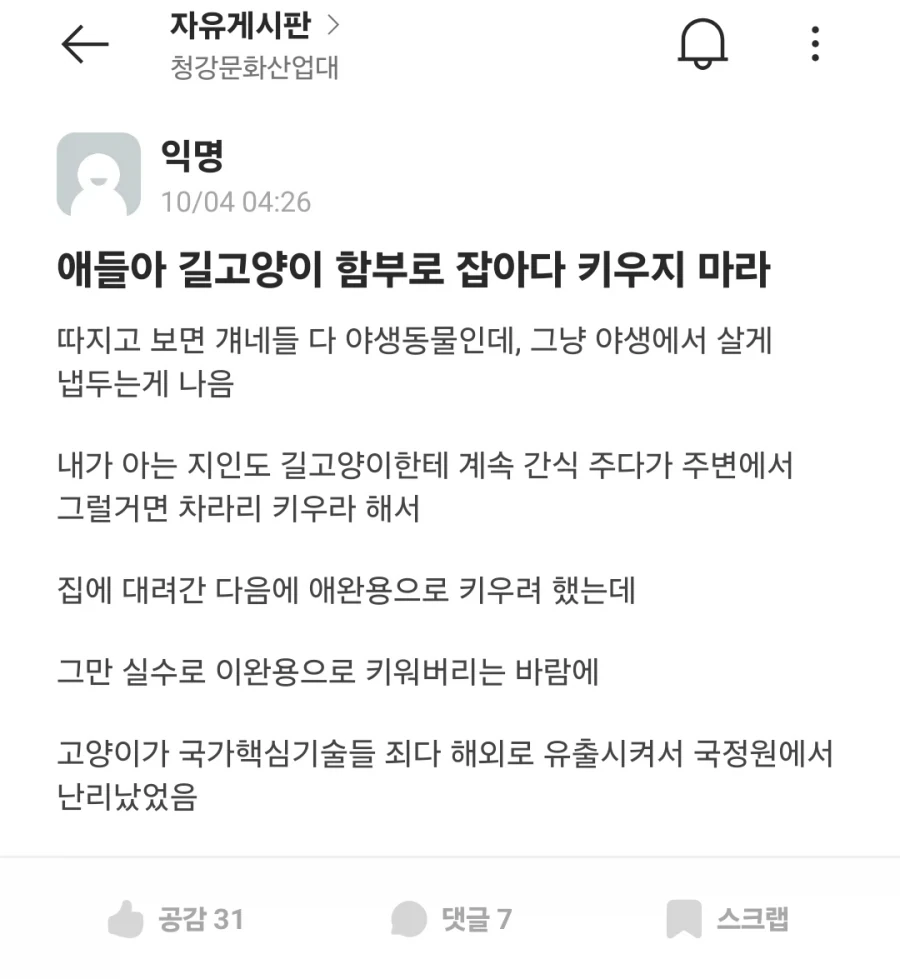 길고양이 함부로 잡아다 키우지 마라.jpg