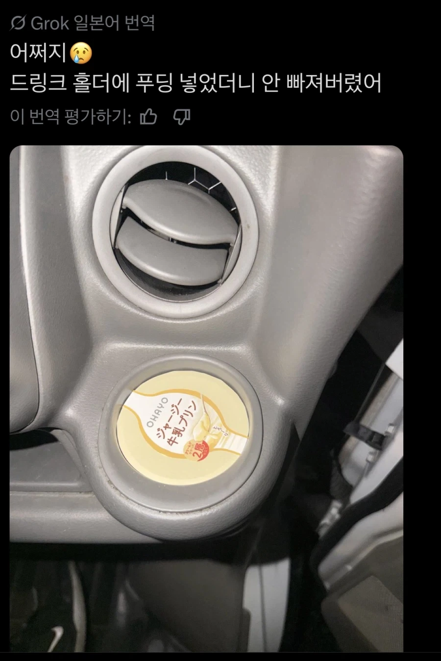 자동차에 ㅈㅈ가 낌.jpg
