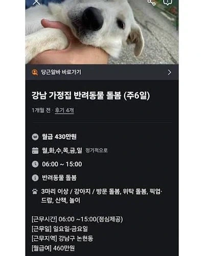 호불호 갈린다는 당근 알바