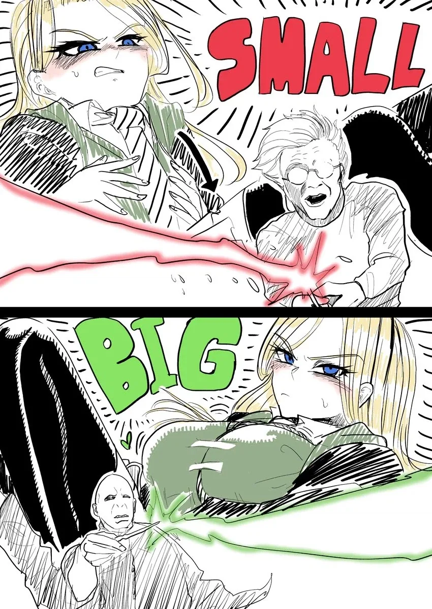 볼드모트와 해리의 마지막 대결. jpg