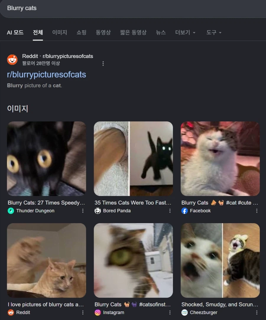 기분이 안좋을 땐 "Blurry Cats"라고 검색하면 좋다