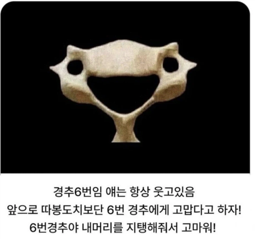 우리 몸에서 가장 귀여운 뼈!!