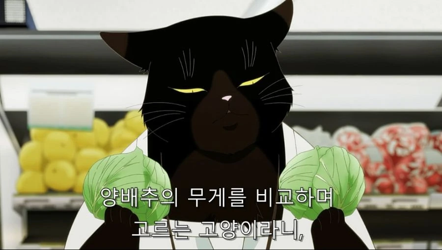 고양이가 쇼핑을 해도 사람들이 가만히 있는 이유 - 이미지 8