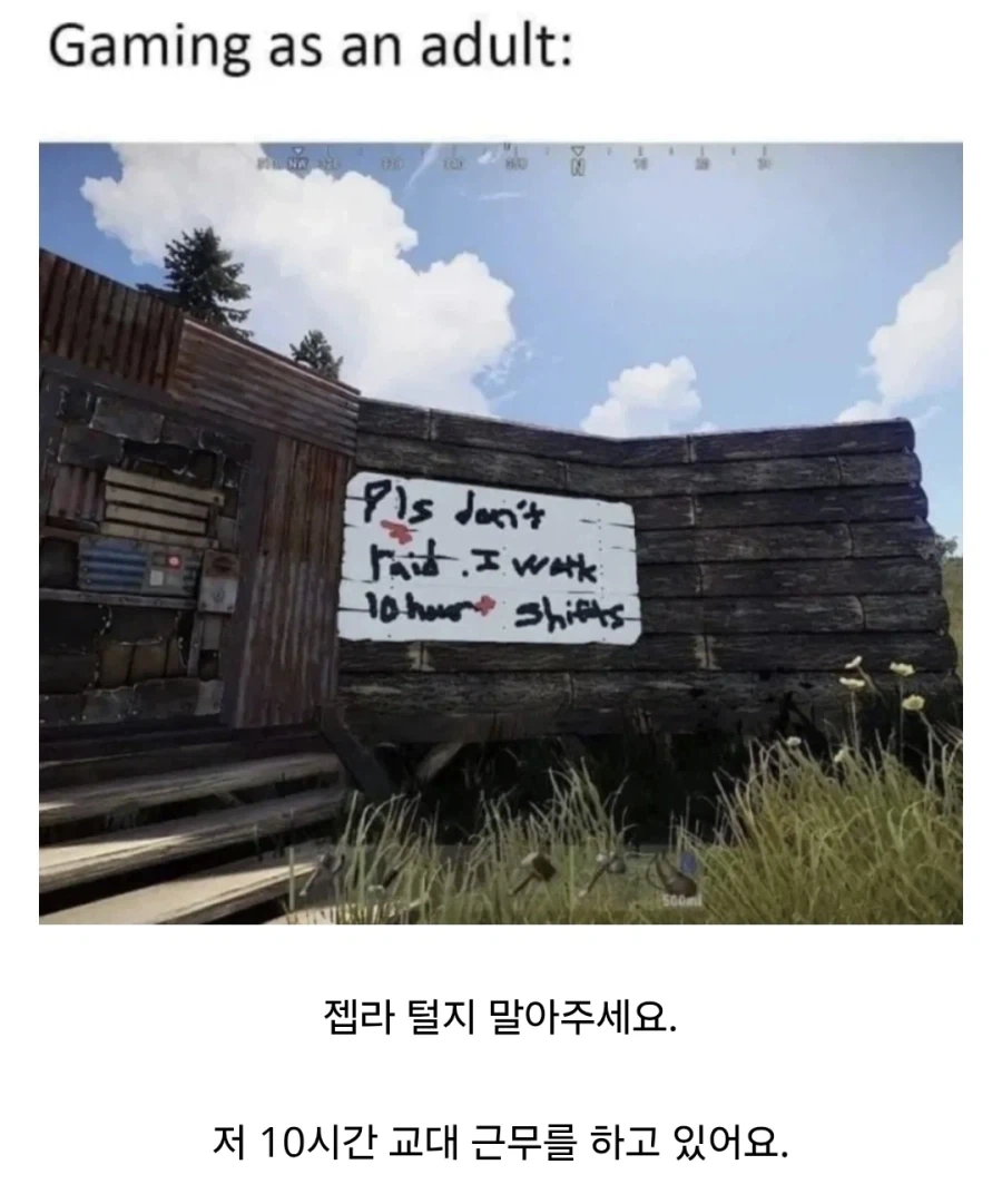성인의 게임 생활.jpg