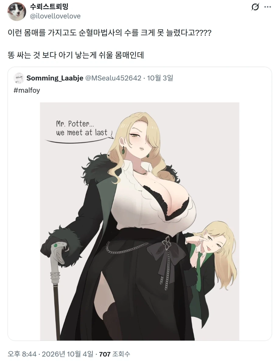 해리포터 TS 시리즈를 보고 의문을 가지는 유저.JPG