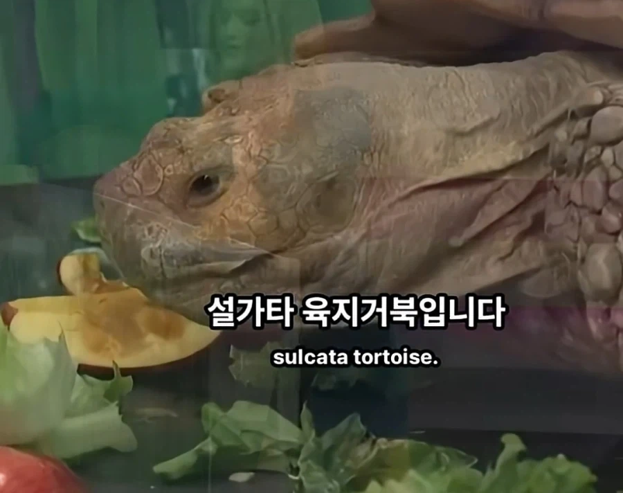 맞추면 ㅈ되는 퀴즈쇼 - 이미지 7