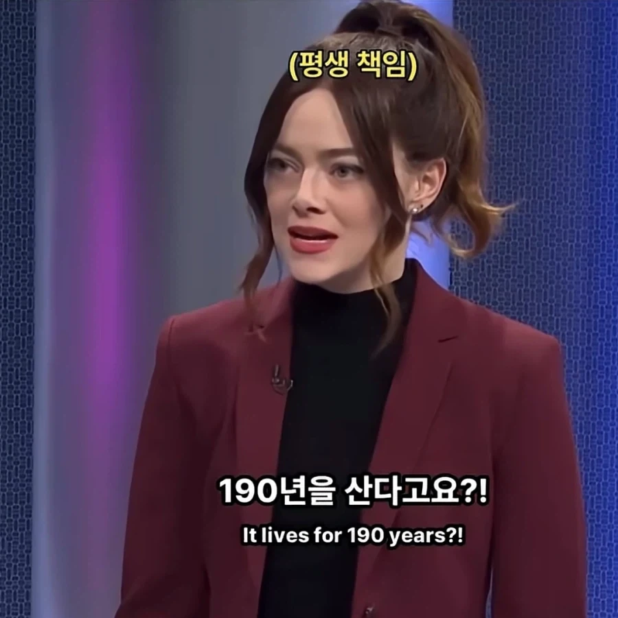 맞추면 ㅈ되는 퀴즈쇼 - 이미지 18