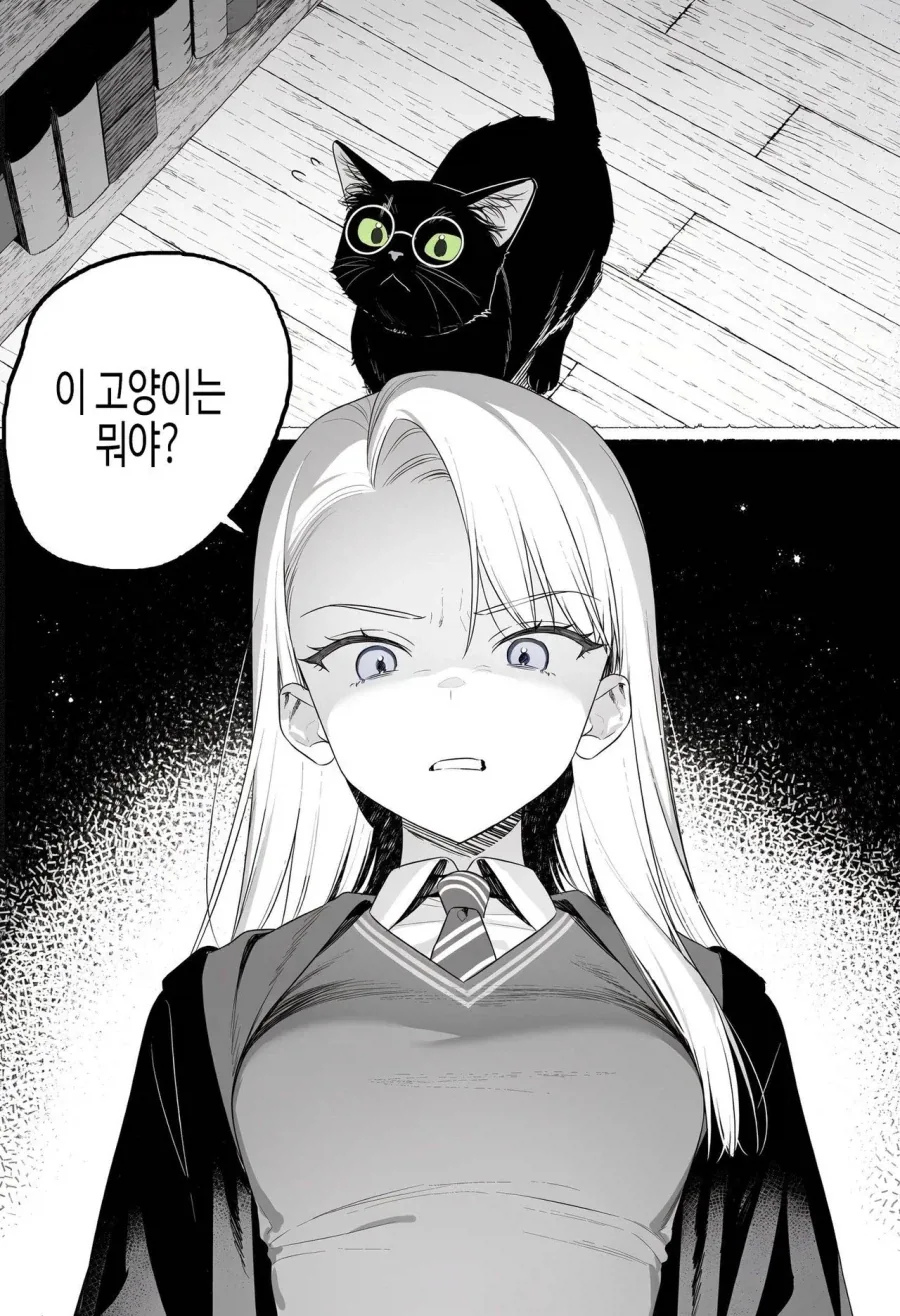 TS말포이) 썬오브제임스 닮은 고양이 줍줍한 악영영애