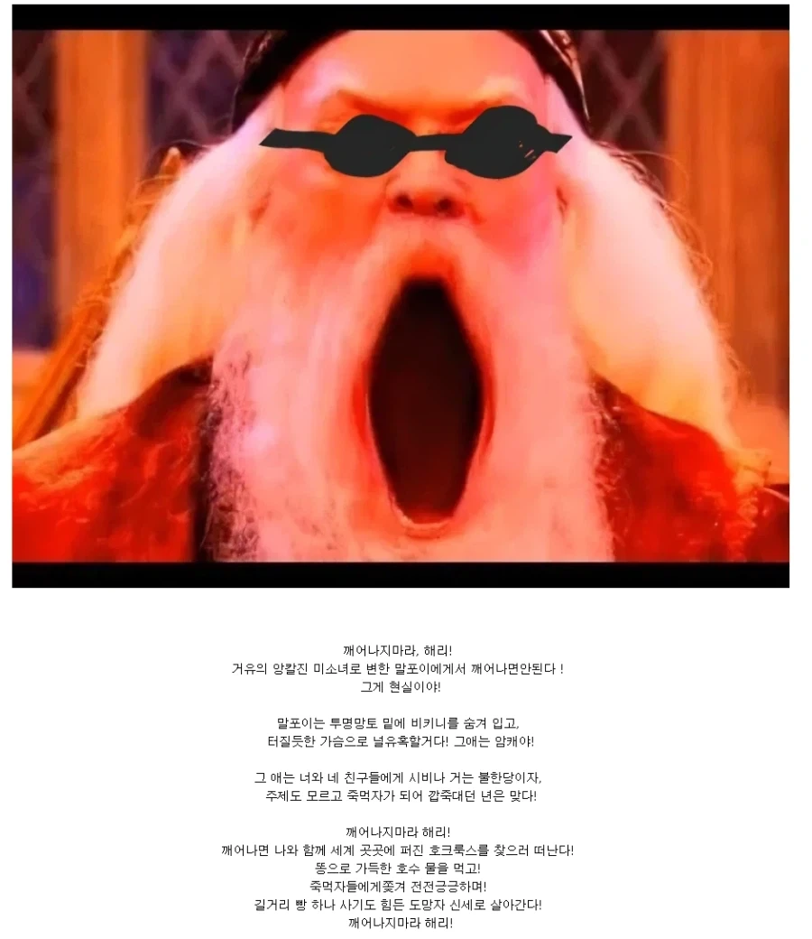 며칠 사이에 덤블도어 이미지 변쳔사 요약 - 이미지 3