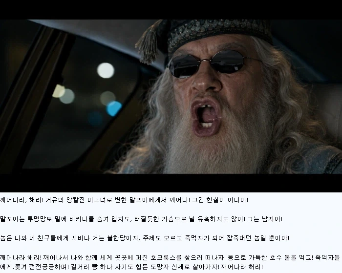며칠 사이에 덤블도어 이미지 변쳔사 요약 - 이미지 4