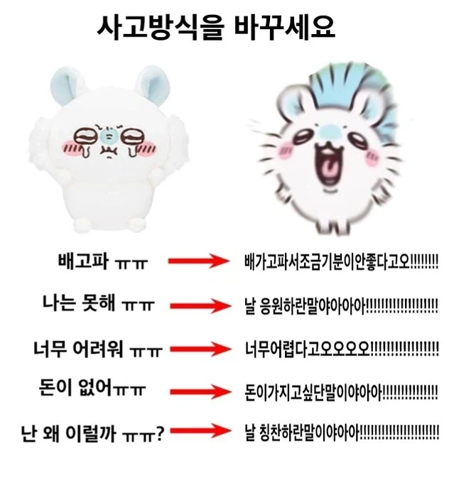 치이카와)모몽가식 사고방식으로 바꿔보세요!.jpg