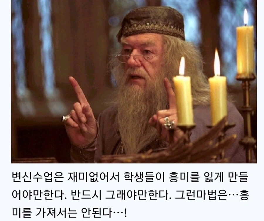 해리포터) 너희들 변신술이 얼마나 위험한지 알겠지??