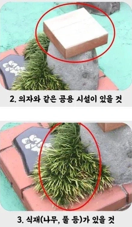 세상에서 가장 작은 공원.jpg - 이미지 3