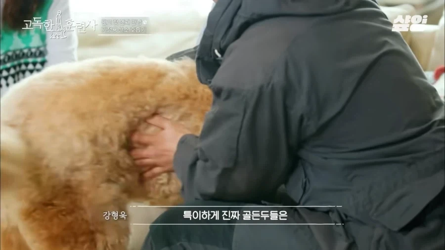 견주에게 못할말을 한듯한 강형욱