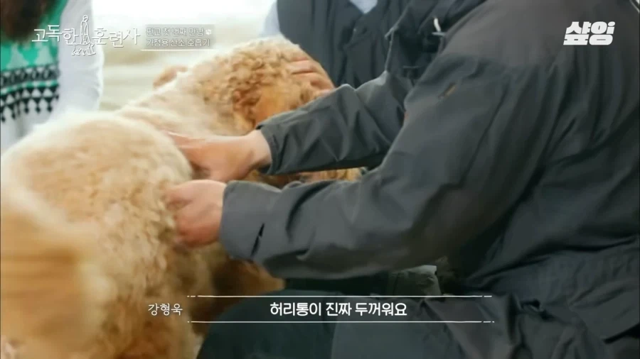견주에게 못할말을 한듯한 강형욱 - 이미지 2