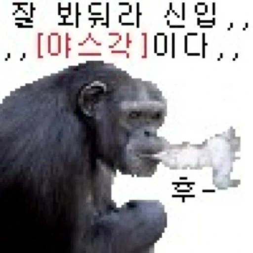 슈타게) 어른이 된 스즈하 - 이미지 4