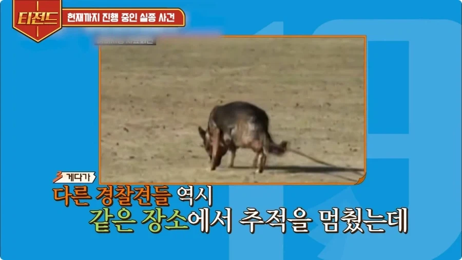 2005년 일본에 있었던 실종 사건.jpg - 이미지 22