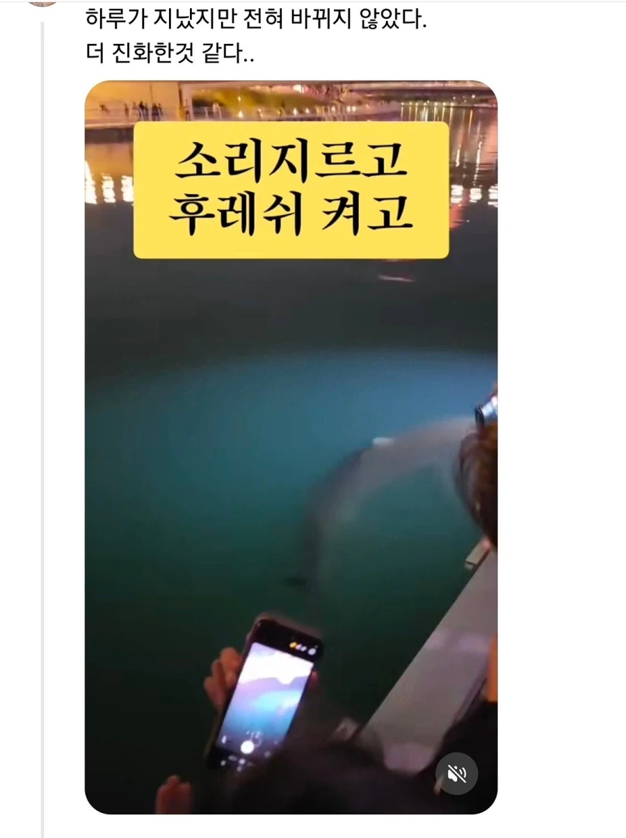 부산 상어 부캉이의 인기가 높아지며 나타나는...... - 이미지 2