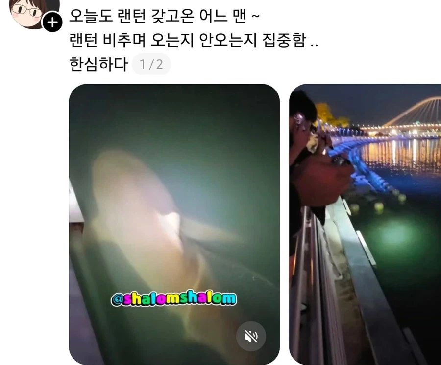 부산 상어 부캉이의 인기가 높아지며 나타나는...... - 이미지 3