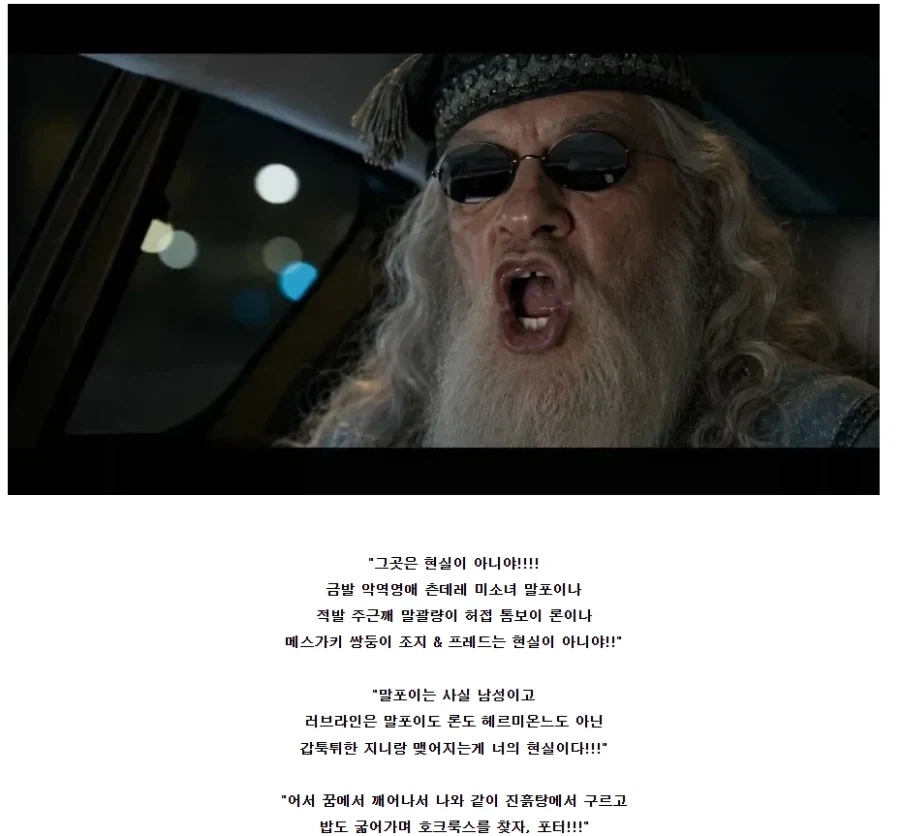 "정신차려라 해리포터!!!!!!" 덤블도어는 침착하게 말했다