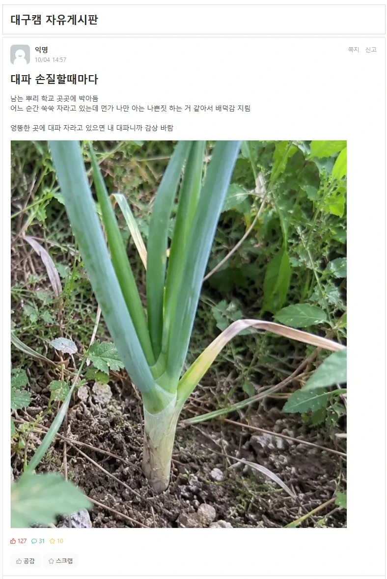 남은 대파를 학교에 처리하는 사람