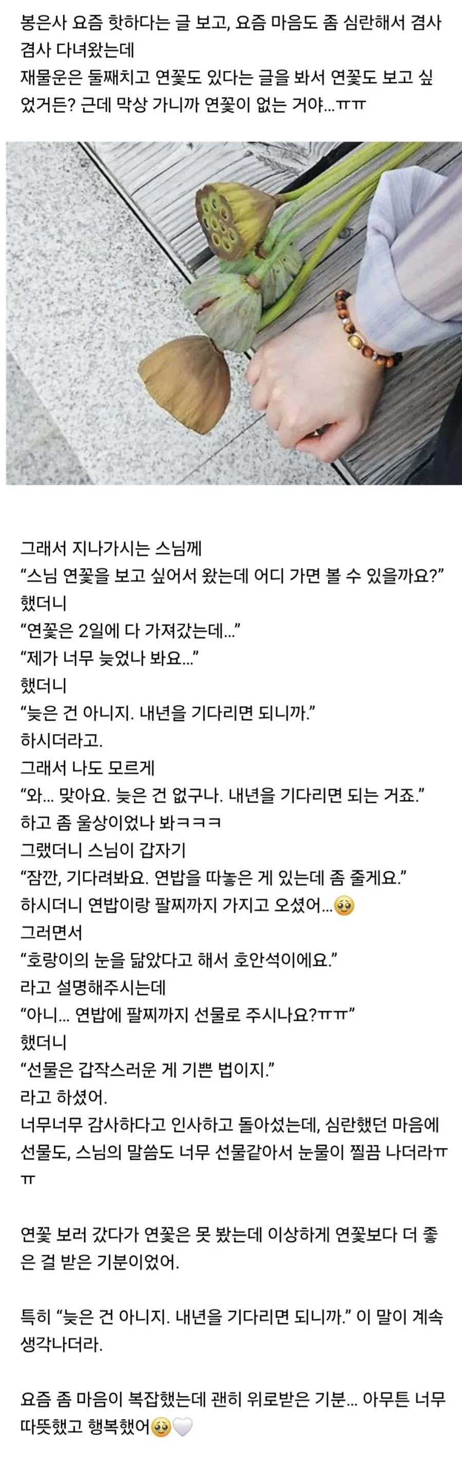봉은사 갔다가 엄청 힐링받고 왔어....