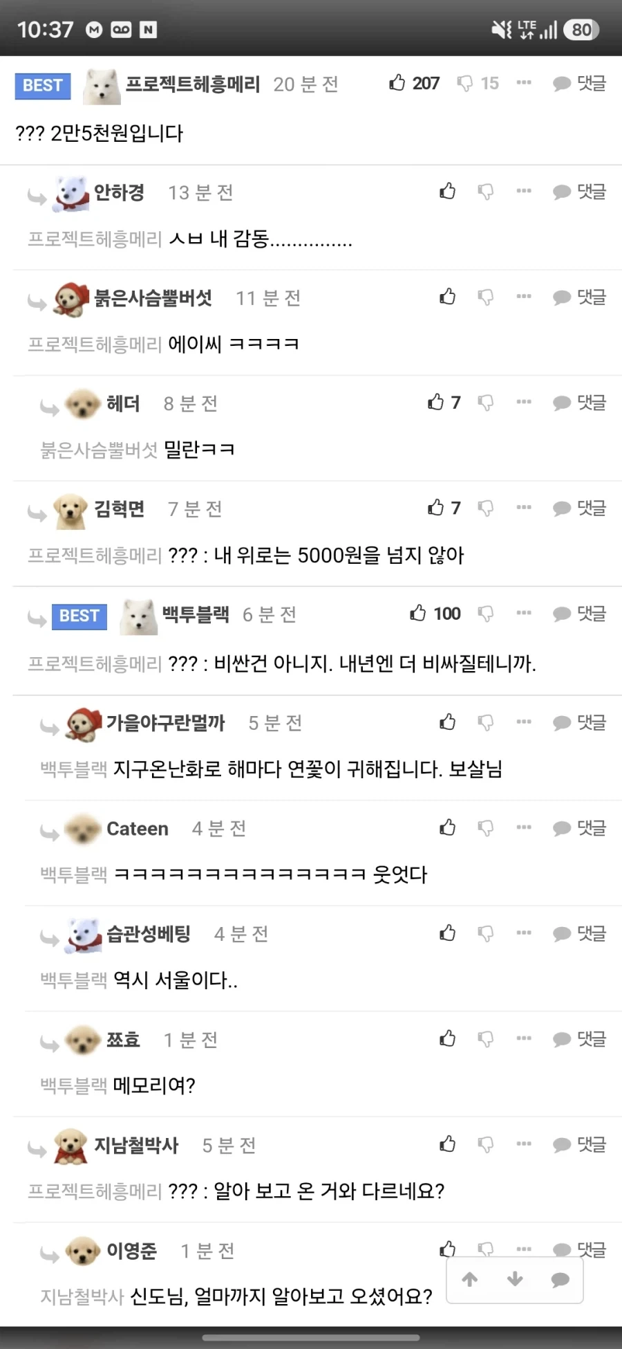 봉은사 갔다가 엄청 힐링받고 왔어.... - 이미지 2