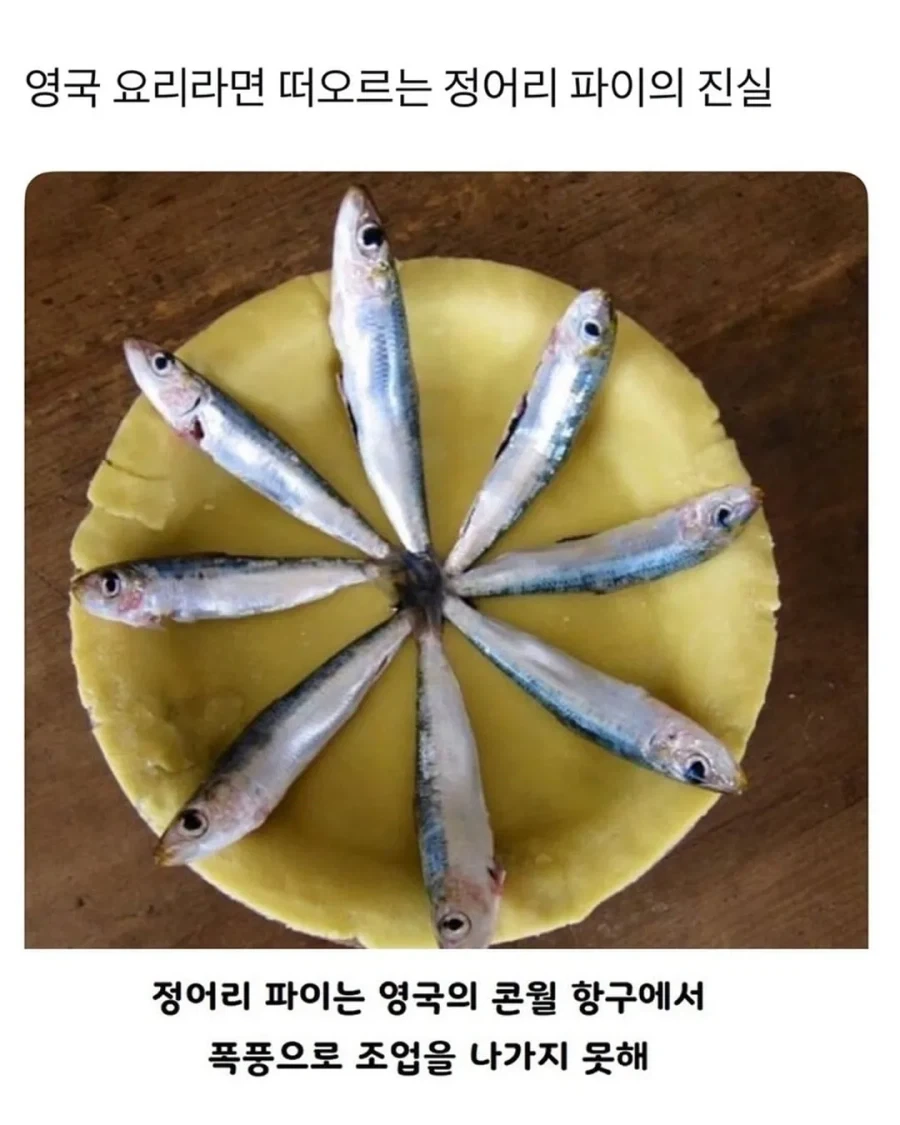 영국 정어리 파이의 진실.jpg