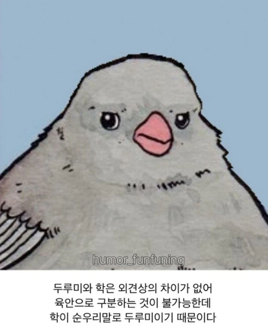 학과 두루미를 구분하기 어려운 이유 - 이미지 4