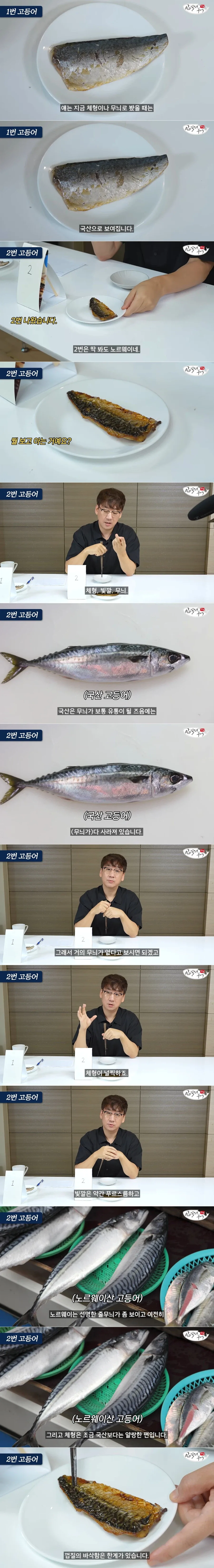 고등어 국산/노르웨이산 구별방법...